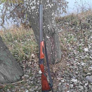 Рушниця - фото