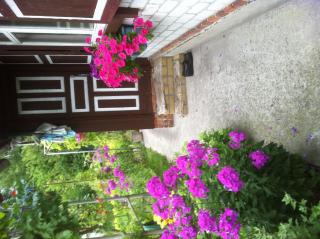 Продаю дачу в Кременчуцькому районі (10 км від Кременчука) - фото