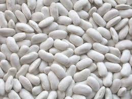 Купуємо оптом квасолю різних сортів на переробку, консервування - фото