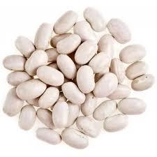 Закупка квасолі на переробку, консервування - фото