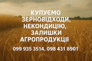 Закупівля некондиційного зерна та зерновідходів - фото