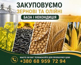 Купуємо зернові, бобові та олійні культури (база та некондиція) Купуємо зернові, бобові та олійні культури (база та некондиція)