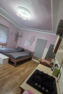 Однокімнатний будинок - фото