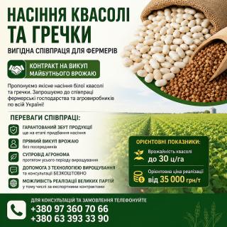 Насіння квасолі та гречки — вигідна співпраця для фермерів - фото