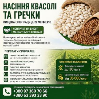 Якісне насіння білої квасолі та посівний матеріал гречки з можливістю - фото