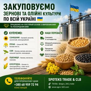 Закуповуємо с.г продукцію. База, некондиція - фото