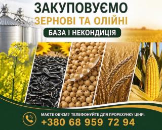 Купуємо зернові, олійні, бобові. База, некондиція - фото