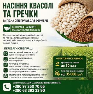 Посівмат квасолі та гречки з контрактом на викуп врожаю - фото