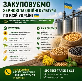 Закупка зернових, олійних, бобових. База, некондиція - фото