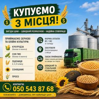 Постійно купуємо зернові та олійні - фото