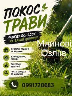 Послуги покосу тай обрізання дерев Млинів озліїв - фото
