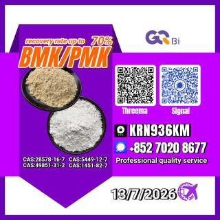 New PM.K 28578-16-7/ BM.K CAS:5449-12-7/ Laboratory Chemical Material