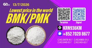New PM.K 28578-16-7/ BM.K CAS:5449-12-7/ Specialty Organic Intermediate