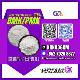 New PM.K 28578-16-7/ BM.K CAS:5449-12-7/ Industrial Organic Compound
