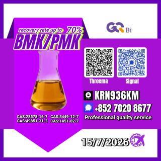 New PM.K 28578-16-7/ BM.K C.AS:5449-12-7/ Specialty Synthesis Compound