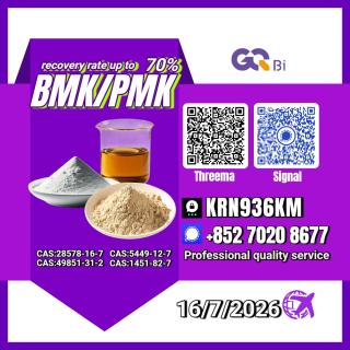 New PM.K 28578-16-7/ BM.K C.AS:5449-12-7/ Precision Chemical Compound