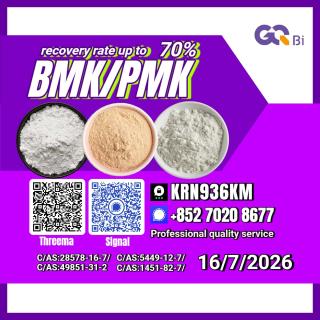 New PM.K 28578-16-7/ BM.K C.AS:5449-12-7/ Chemical Production Intermediate
