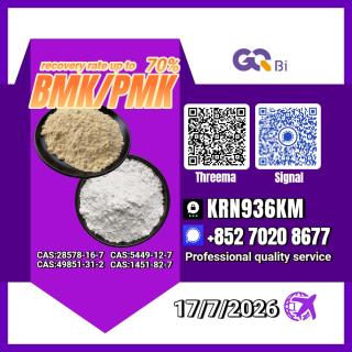 New PM.K 28578-16-7/ BM.K C.AS:5449-12-7/ High Purity Chemical Component