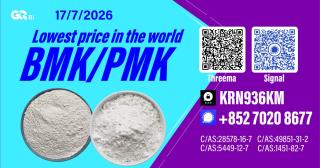 New PM.K 28578-16-7/ BM.K C.AS:5449-12-7/ Chemical Application Intermediate