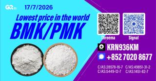 New PM.K 28578-16-7/ BM.K C.AS:5449-12-7/ Industrial Chemical Resource