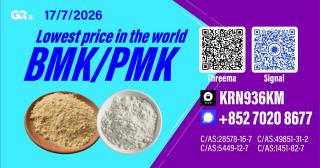 New PM.K 28578-16-7/ BM.K C.AS:5449-12-7/ Custom Chemical Intermediate