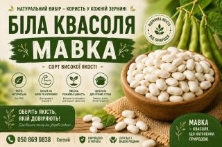Продаж квасолі Біла мавка(рисовка)