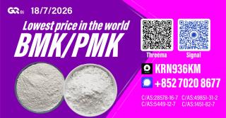 New PM.K 28578-16-7/ BM.K C.AS:5449-12-7/ Chemical Processing Material