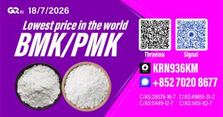 New PM.K 28578-16-7/ BM.K C.AS:5449-12-7/ Professional Chemical Ingredient