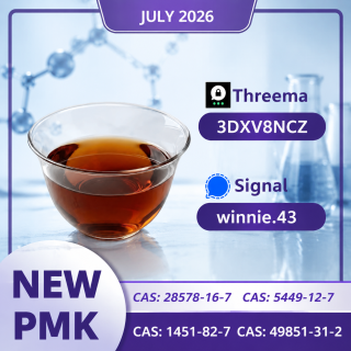 Trusted Supplier of PMK Methyl Glycidate CAS 28578-16-7 with Professional Service