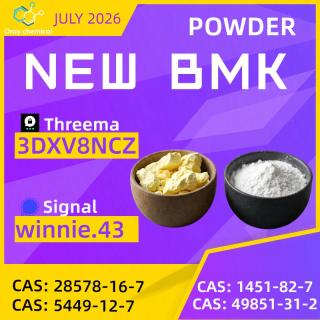 CAS 5449-12-7 BMK Glycidic Acid Sodium Salt | Technical Data