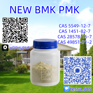CAS 5449-12-7 BMK Glycidic Acid Sodium Salt 99.9% High Purity | Bulk Manufacturer & Global Supplier