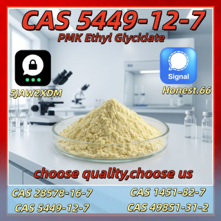 BMK Glycidic Acid Sodium Salt Powder CAS 5449-12-7 | High Purity 99.9% Organic Intermediate | Factory Price & Global Delivery