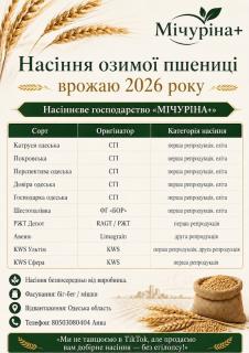 Насіння озимої пшениці врожаю 2026 року від виробника