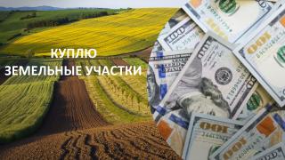 Куплю земли в Киеве и пригороде у собственника