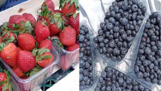 Продам свіжу полуницю та лохину.