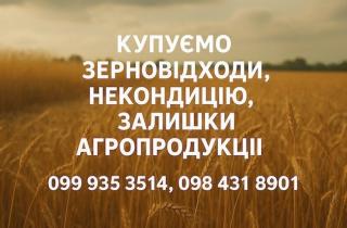 Закуповуємо некондиційне зерно та побічну агропродукцію
