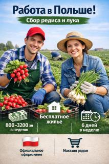 Оплат щотижня