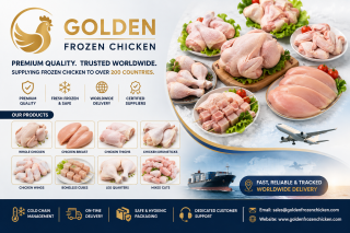 Premium Whole Frozen Chicken & Parts for Worldwide Wholesale Supply
