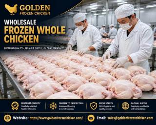LEADING BRAZIL HALAL FROZEN WHOLE CHICKEN & CHICKEN PARTS SUPPLIER