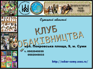 Запрошуємо в клуб собаківництва