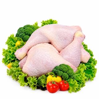 Brazil Halal Chicken Exporter → Dubai Importers → Frozen Chicken Parts → Container Supply