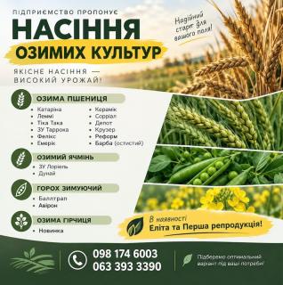 Продаж насіння озимих: пшениця, ячмінь, горох, гірчиця