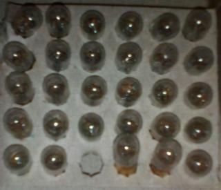 Лампа А-12-50-40, А-24-1, А-24-32-4 - фото