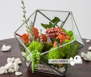 Долговечные растения в стеклянном флорариуме - фото