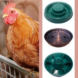 Годівниці і поїлки для домашніх птахів - фото