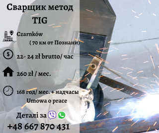 Сварщик (TIG 141) - фото