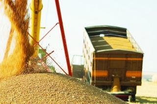 Транспортування зернових вантажів. Послуги зерновозів - фото