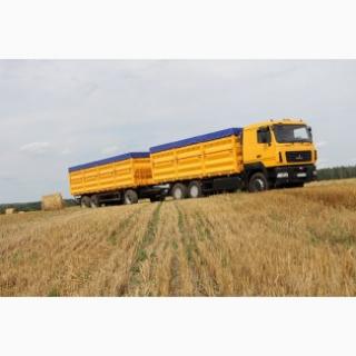 Услуги зерновозов. Перевозка зерна по Украине - фото