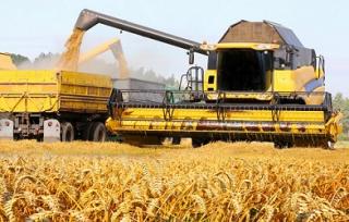 Перевезення зерна по Україні. Послуги зерновозів. - фото