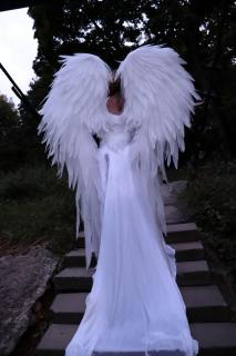 Крила Ангела - фото